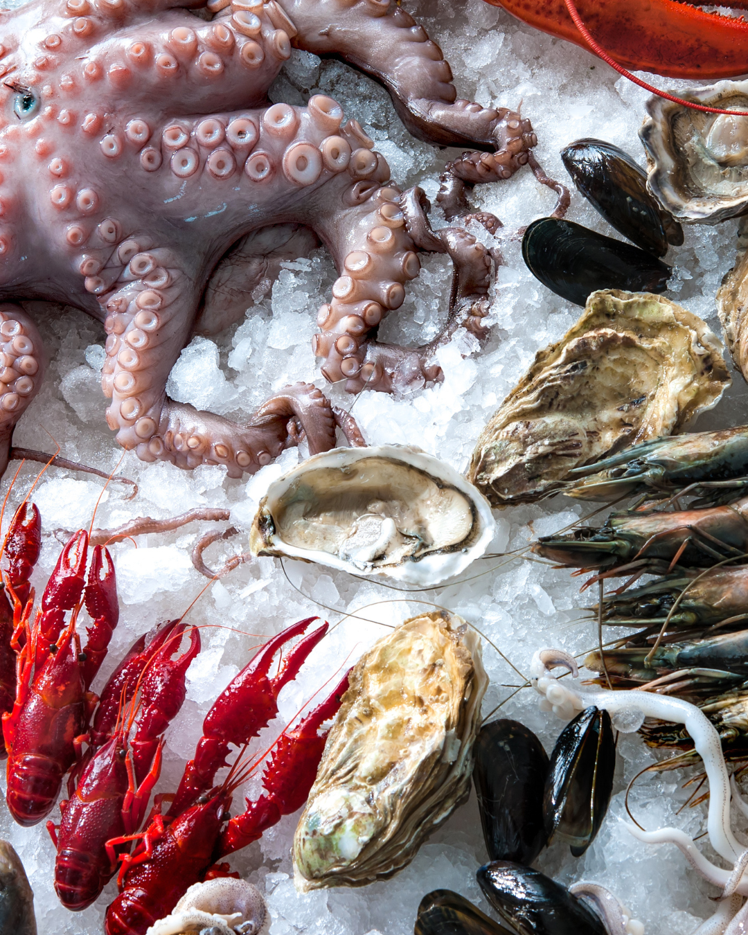 Marisco de Temporada