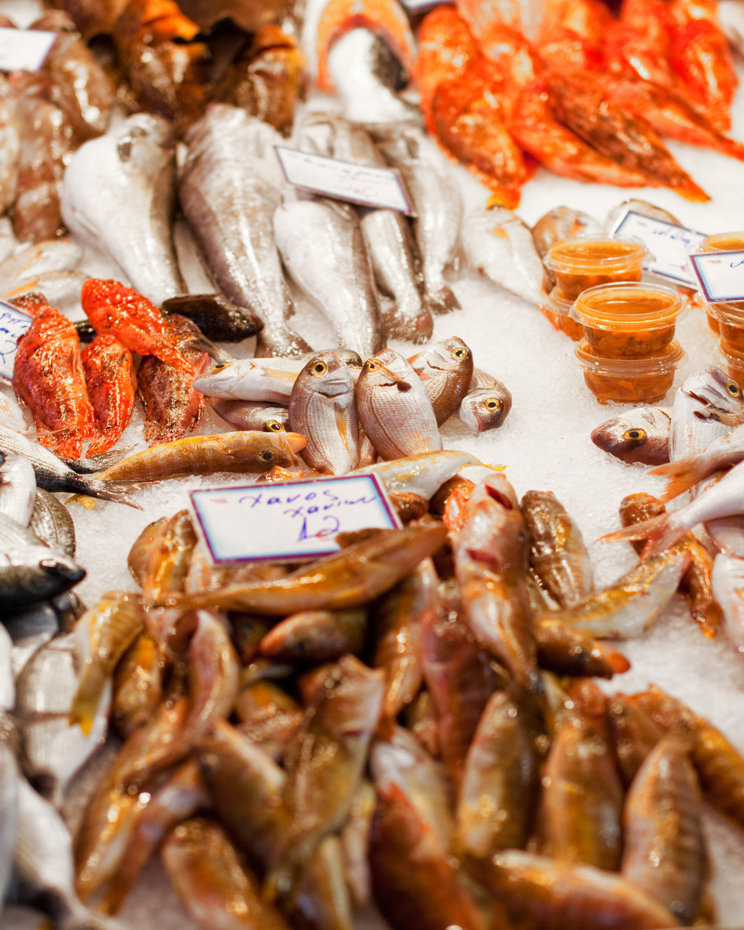 Pescado Fresco del Día